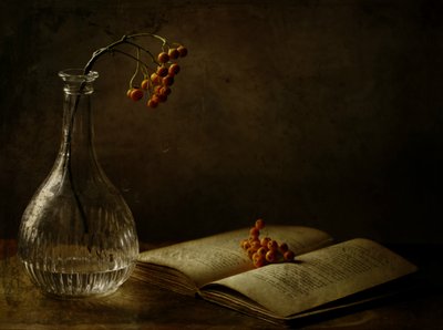 Autumn Berries And Book by Delphine Devos