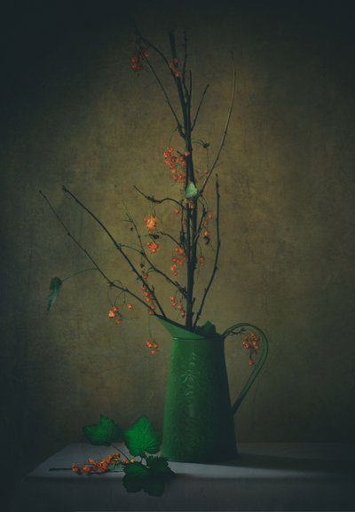 Dark Botanical Still Life by Delphine Devos