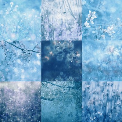 Dreamy Blue Botanicals by Delphine Devos