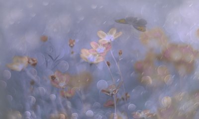 Dreamy Pastel Flowers by Delphine Devos