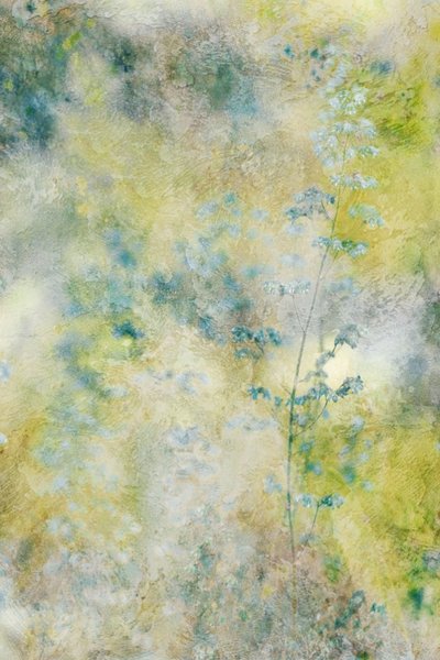 Dreamy Watercolor Flowers by Delphine Devos