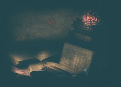 Enchanted Study Books by Delphine Devos