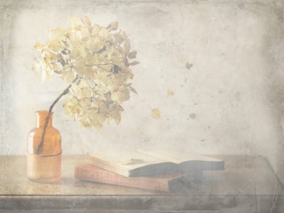 Faded Autumn Still Life by Delphine Devos