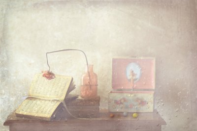 Faded Book and Music Box by Delphine Devos