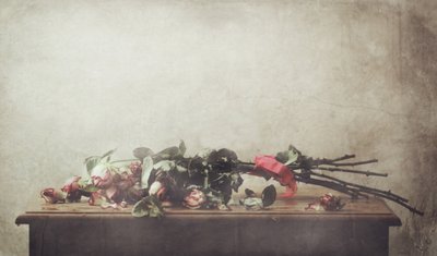 Fading Roses Still Life by Delphine Devos