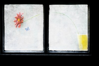 Frosted Window Still Life by Delphine Devos