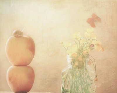 Gentle Snail and Butterfly by Delphine Devos