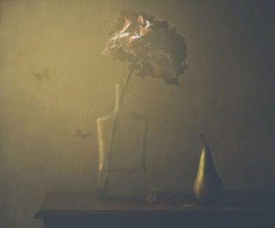 Golden Autumn Still Life by Delphine Devos