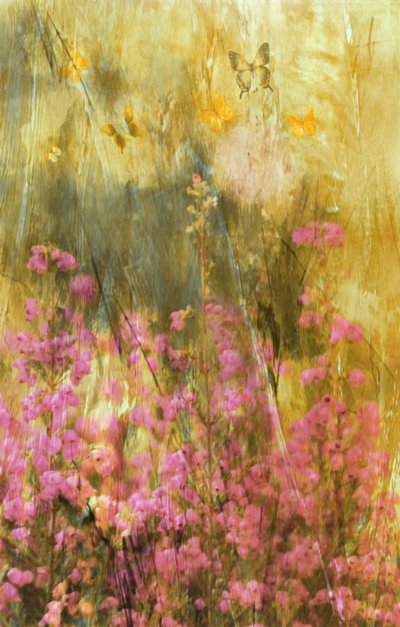 Golden Meadow Butterflies by Delphine Devos