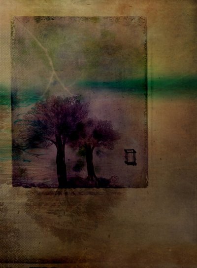 Lightning Over Dark Trees by Delphine Devos