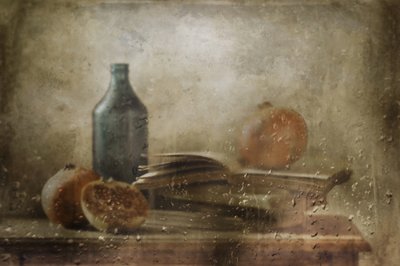 Moody Rainy Pomegranates by Delphine Devos