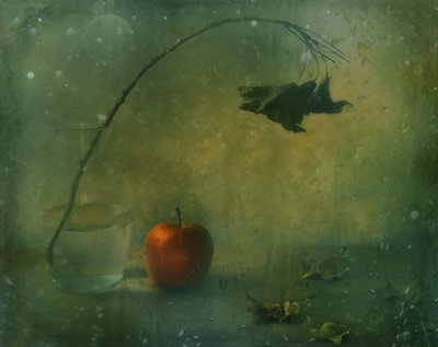 Moody Red Apple Still Life by Delphine Devos