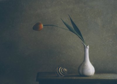 Moody Tulip Still Life by Delphine Devos