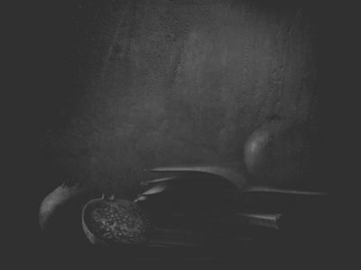 Pomegranates in Shadow by Delphine Devos