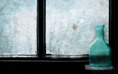 Quiet Window Butterfly Bottle by Delphine Devos