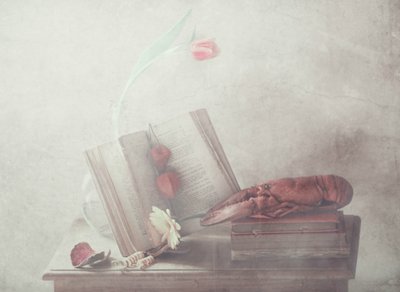 Red Lobster Still Life by Delphine Devos