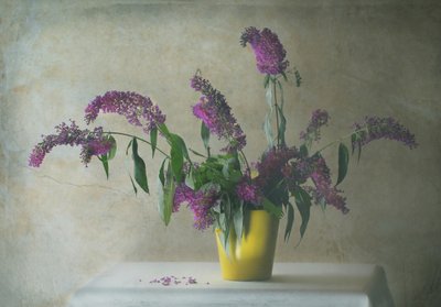 Rustic Floral Still Life by Delphine Devos