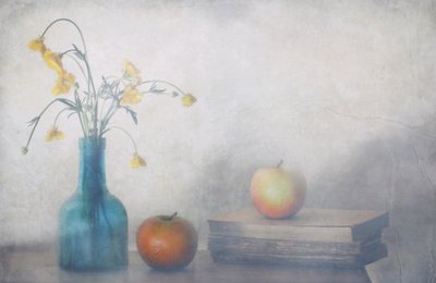 Serene Flowers Apples Books by Delphine Devos