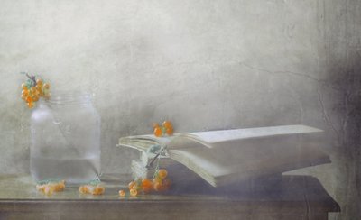 Soft Berry Still Life by Delphine Devos