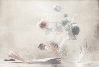 Soft Roses Open Book by Delphine Devos