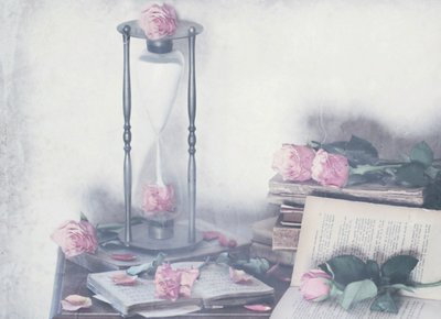 Timeless Roses and Books by Delphine Devos