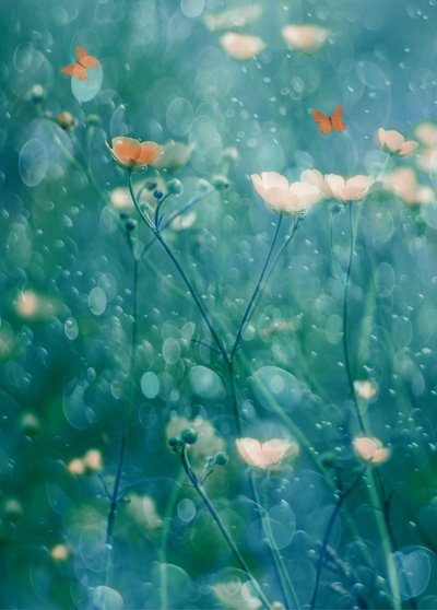 Vibrant Garden Butterflies by Delphine Devos