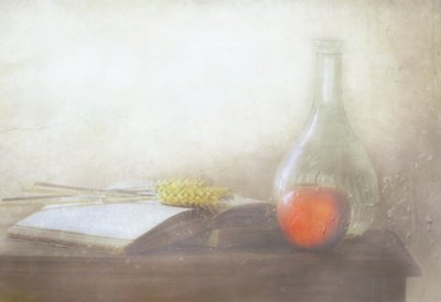 Vintage Book and Apple by Delphine Devos