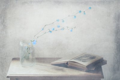 Vintage Book and Blue Flowers by Delphine Devos