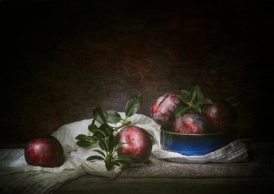Moody Plums Still Life by Denis O Reilly