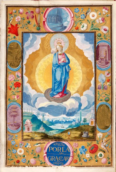 Immaculate Conception in Enforceable Charter of Chivalry of Arias Pardo de Cela by Diego Gómez