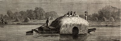 Cutting, harvesting and transporting fodder on the banks of the Danube. Drawing by Lancelot, to illustrate his journey from Paris to Bucharest in 1860. Engraving in 