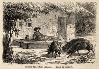 Obstructions of the anterieties, thus immobilized, of valaque pigs, in Romania. Engraving to illustrate the voyage from Paris to Bucharest, by Lancelot, draftsman, in 1860, published in Le tour du monde, nouveau journal des voyages, under the direction of  by Dieudonne Auguste Lancelot