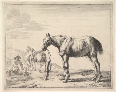 Horse Bound to a Post, Turned Left by Dirck Stoop
