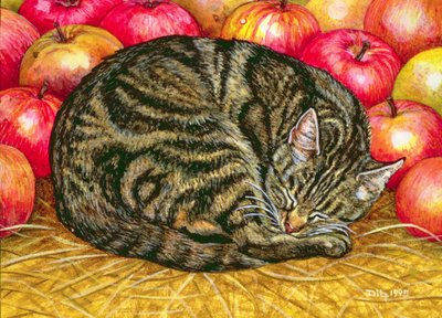 Left-Hand Apple-Cat by Ditz
