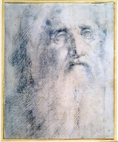 Study of an old Man
