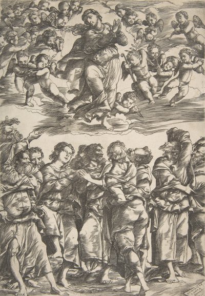 The Virgin at top center in clouds with clasped hands and right foot raised, surrounded by angels by Domenico Campagnola