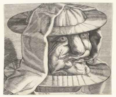 A Grotesque Head with a Helmet in the Style of Arcimboldo by Dominicus Custos
