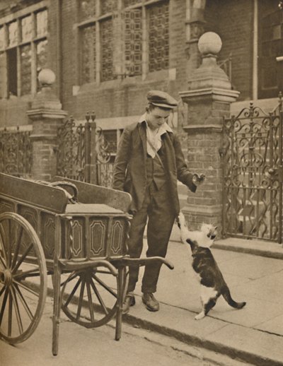 One of the Best-Established Trades: A Customer and the Cats-Meat Man by Donald McLeish