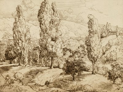 Fields of Asolo by Donald Shaw MacLaughlan