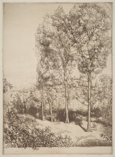 Sunlight and Shadows, No. 3 by Donald Shaw MacLaughlan