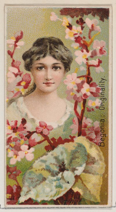 Begonia: Originality, from the series Floral Beauties and Language of Flowers N75 for Du..., 1892 by Donaldson Brothers