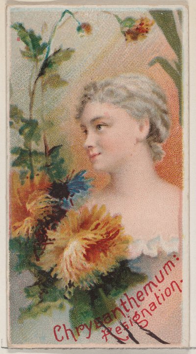Chrysanthemum: Resignation, from the Series Floral Beauties and Language of Flowers N75 by Donaldson Brothers