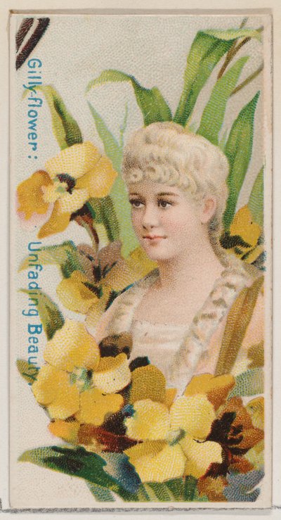 Gilly-flower: Unfading Beauty, from the series Floral Beauties and Language of Flowers N7 by Donaldson Brothers