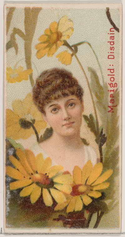 Marigold: Disdain, from the series Floral Beauties and Language of Flowers N75 for Duke by Donaldson Brothers