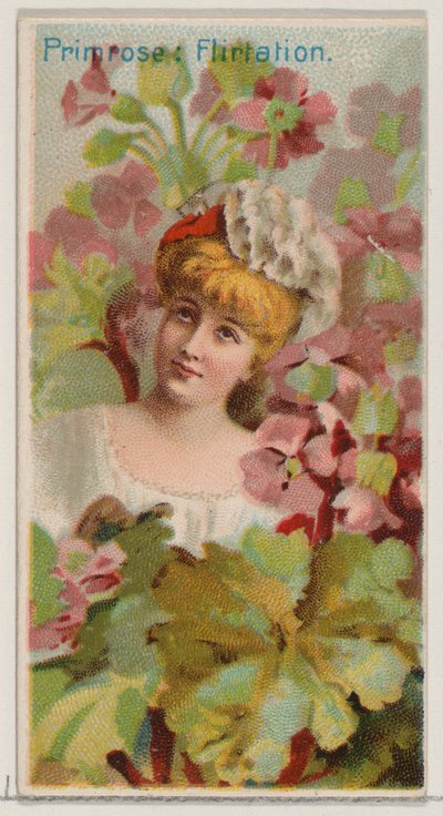 Primrose: Flirtation, from the series Floral Beauties and Language of Flowers N75 for Du... by Donaldson Brothers