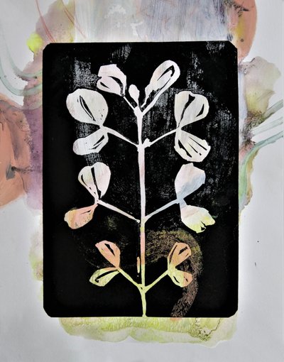 Pastel Botanical Study by Doris Schmitz
