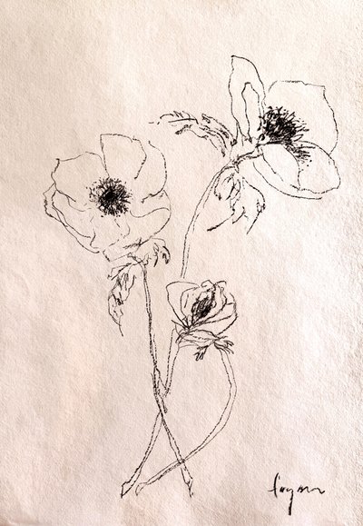Minimalist Flower Drawing by Dorothy Fagan