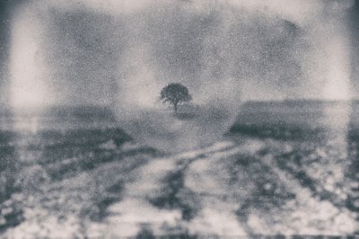 Path to Solitary Tree by Dragan Drobac