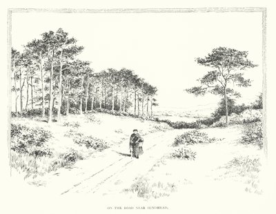 On the Road near Hindhead by Duncan Moul