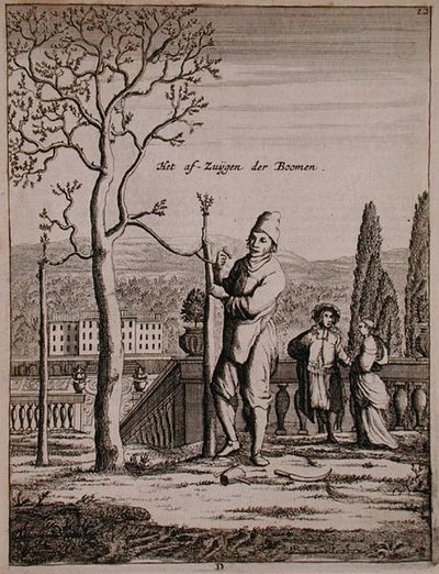 Training an espalier, from 